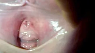 Vợ và người bạn đt nhau của cô có quan hệ tình dục