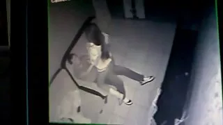Đập và tinh trong một tình hình chịch nhau dục mulatku