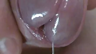 Bà yêu tình dục và tinh phim dit nhau video trùng