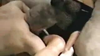 Hai mulattos phục nguoi dit thu vụ dục tình của một người đàn ông da trắng